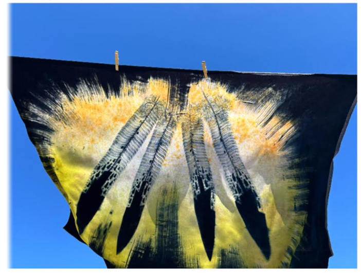 “Elegance & Prayer” Eagle Feathers XXIX